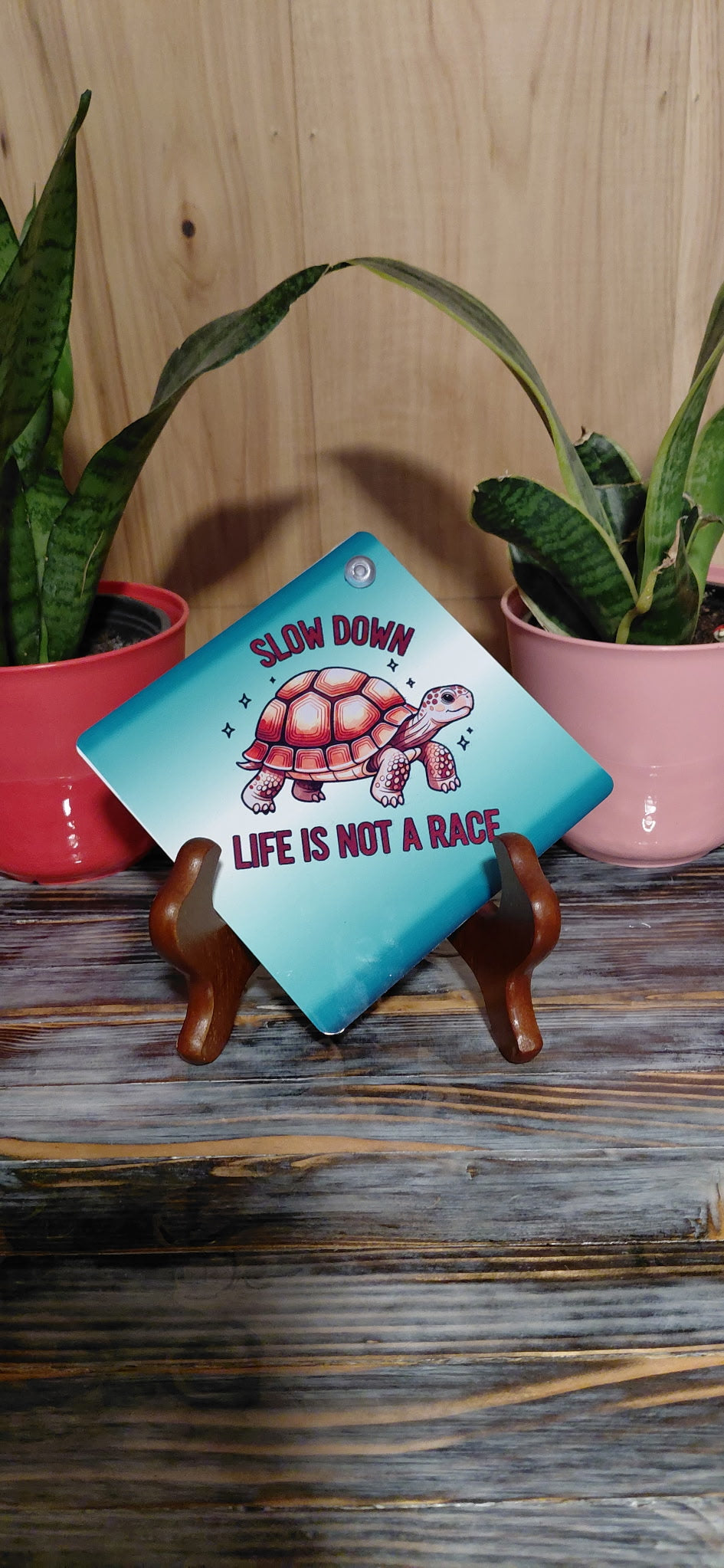 Slow Down! Life is Not A Race!
