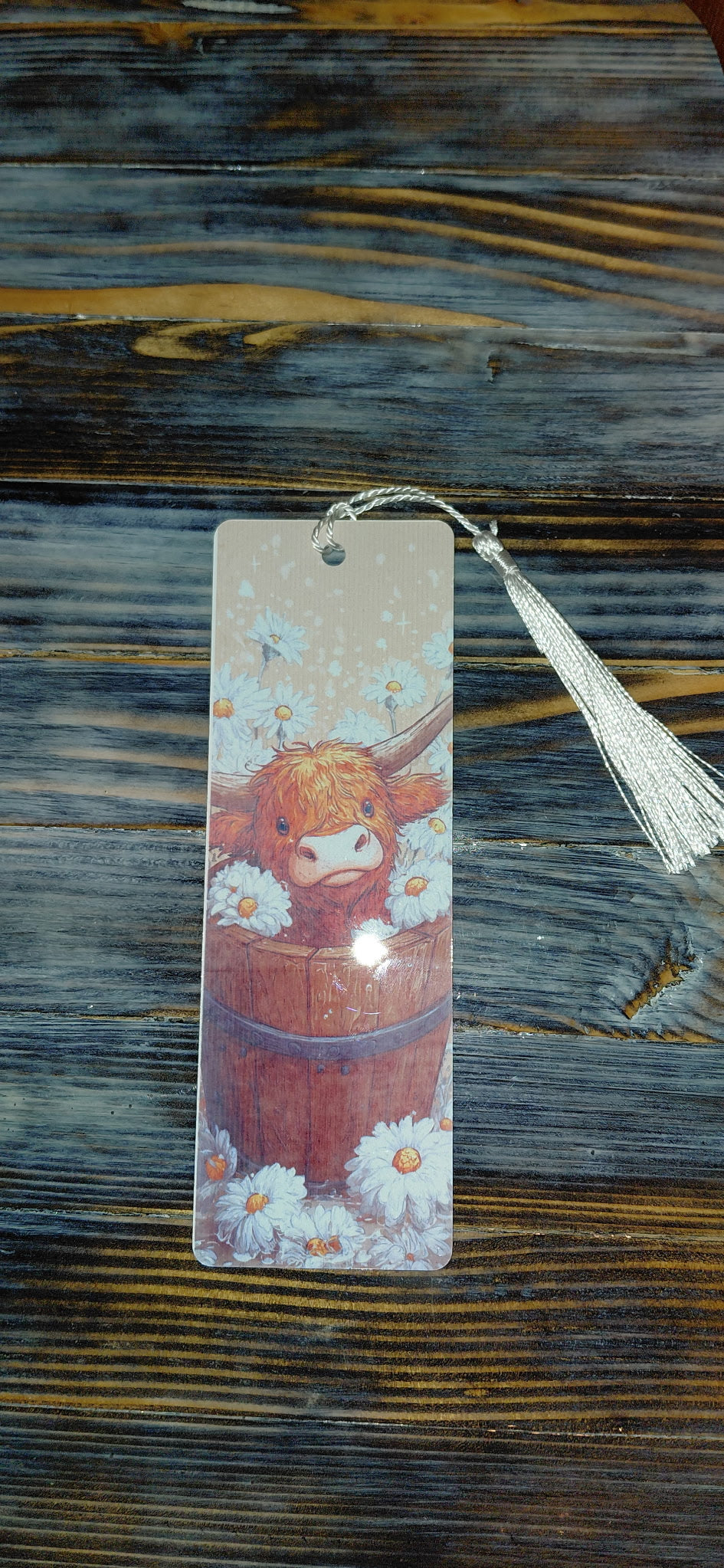 Highland Cow