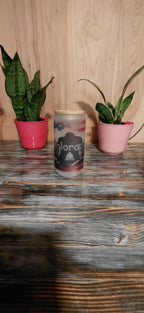 Bigfoot Colorado Flag